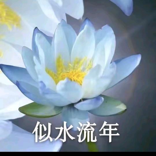 牛爷爷（花开富贵）