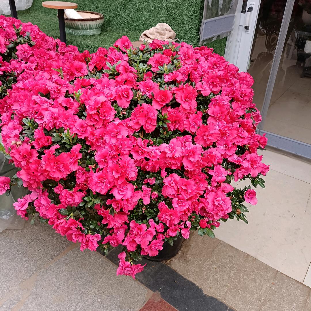 静心，