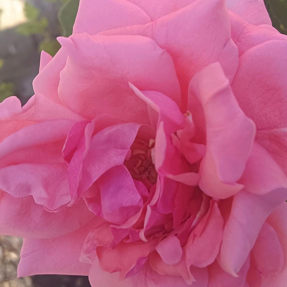 用户一生有你就足够