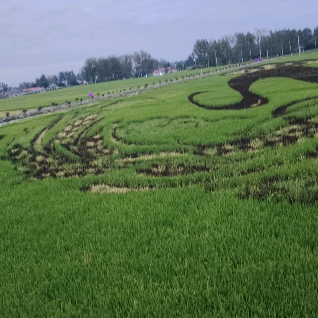 王后余生