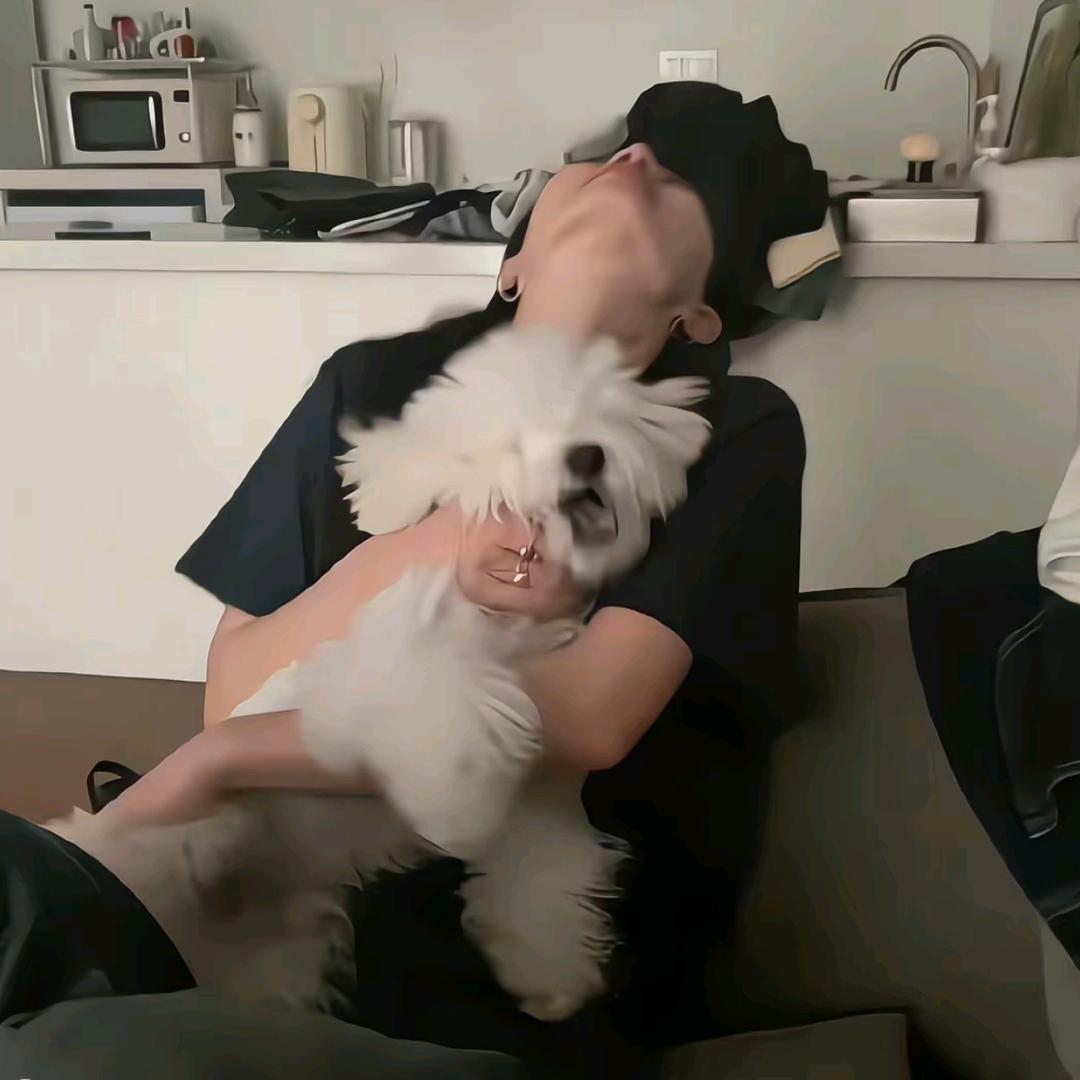 养恐龙好难