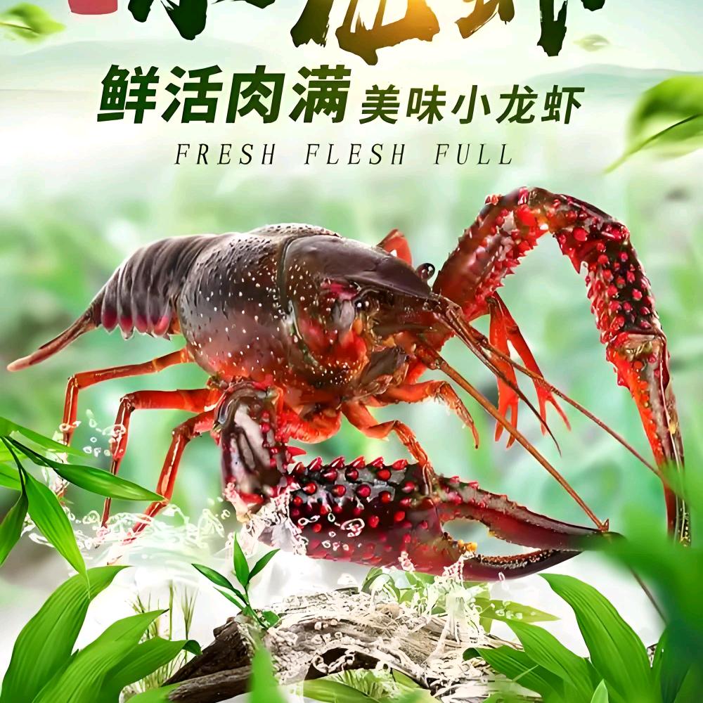 潜江清水小龙虾