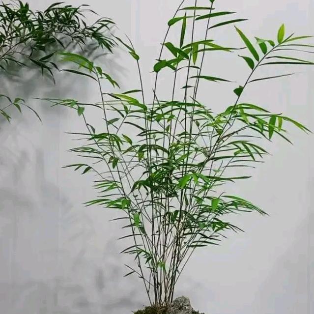 万