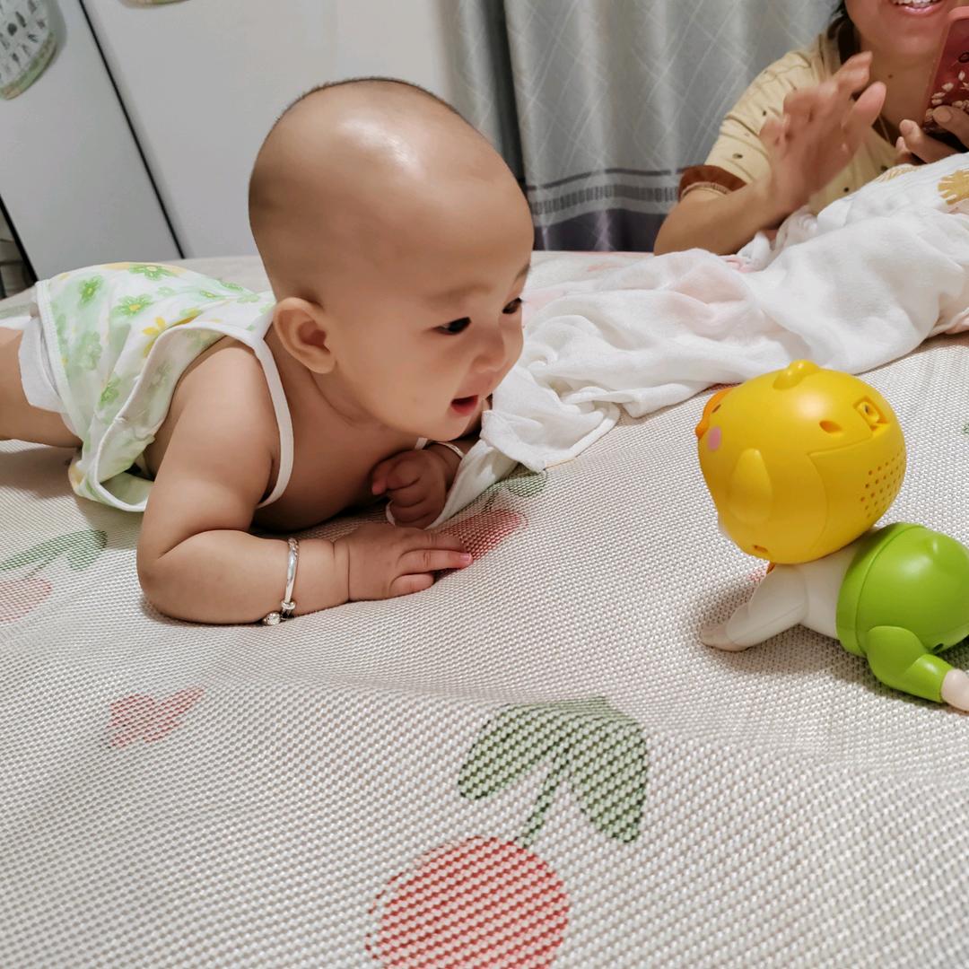 小甜豆妈妈（全职宝妈）