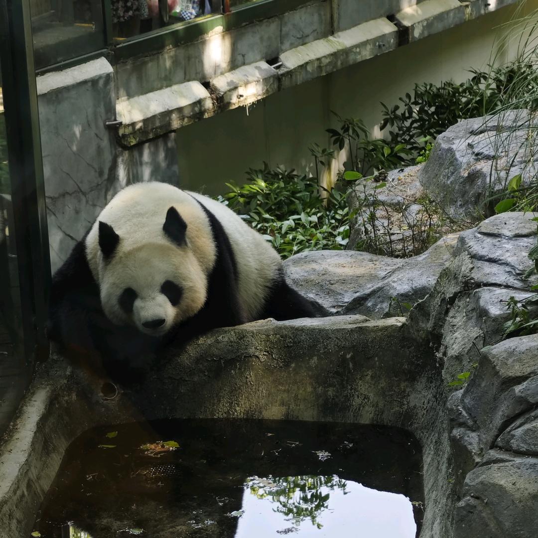 来了就来了