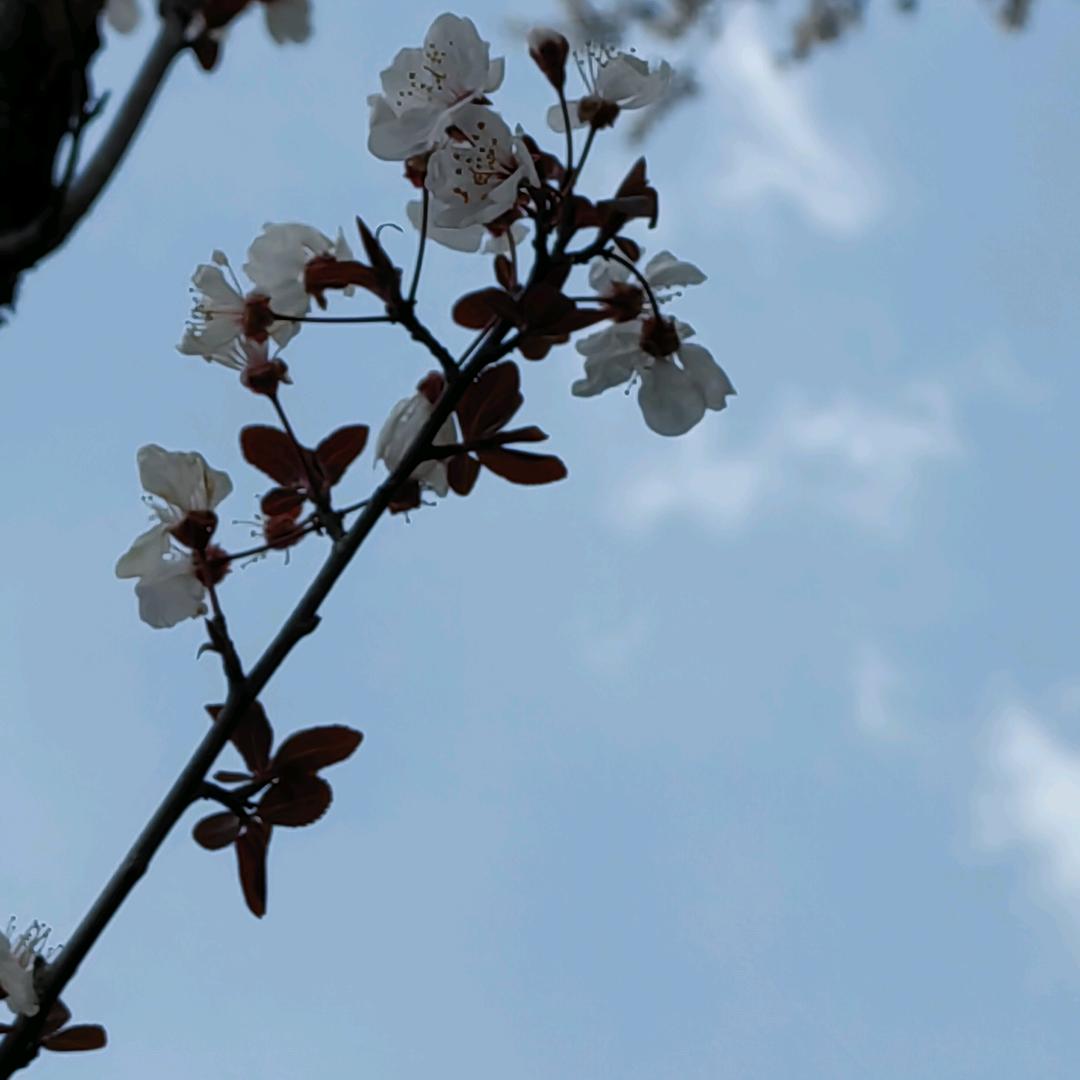 ღ᭄ 情深缘浅 ℘࿐