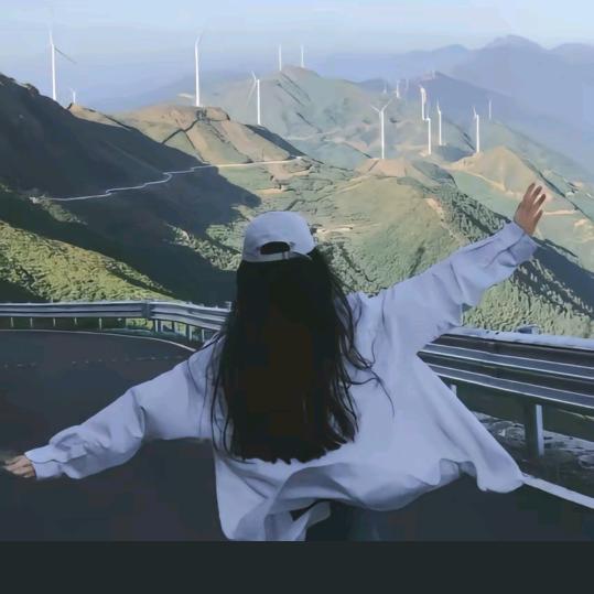 摆烂の小鱼