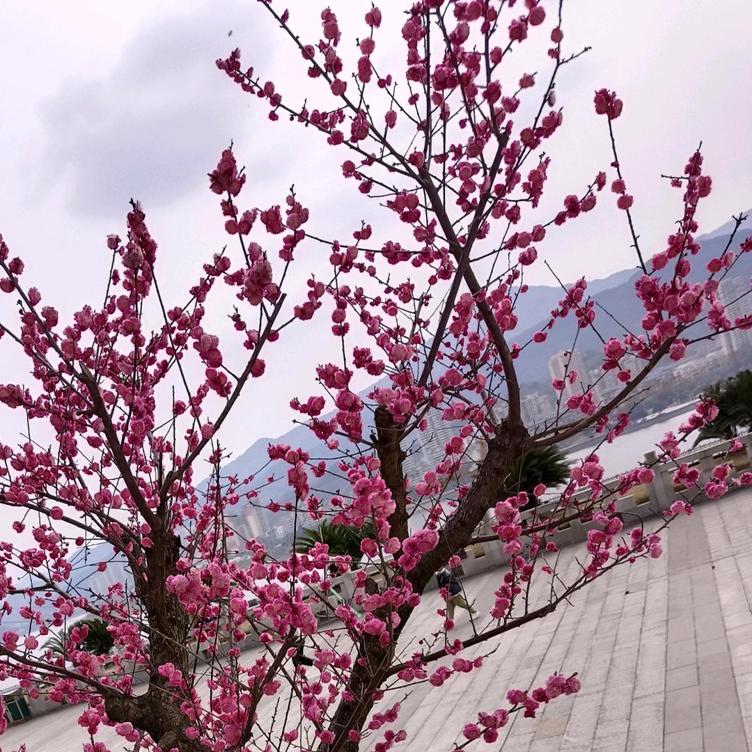 宇涵
