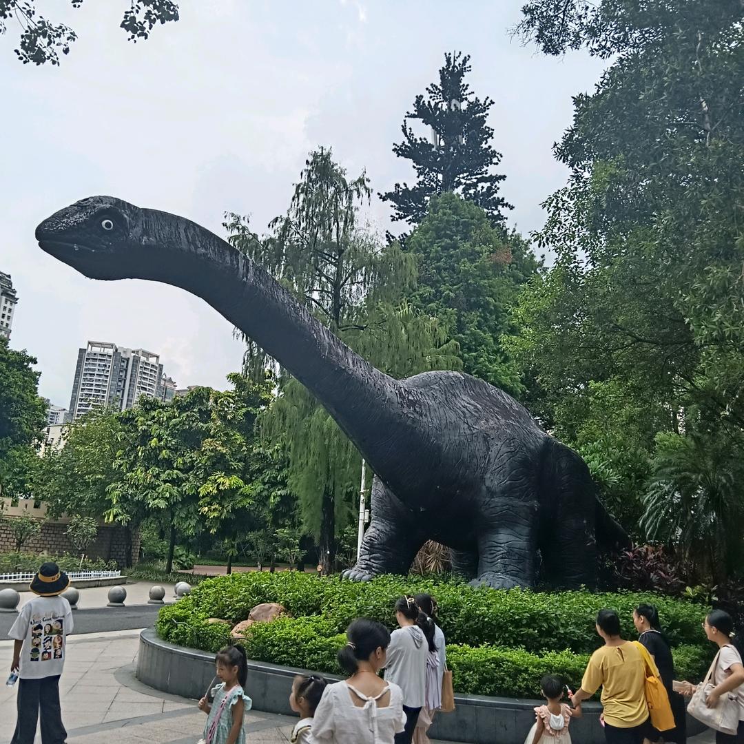 用户10658217532