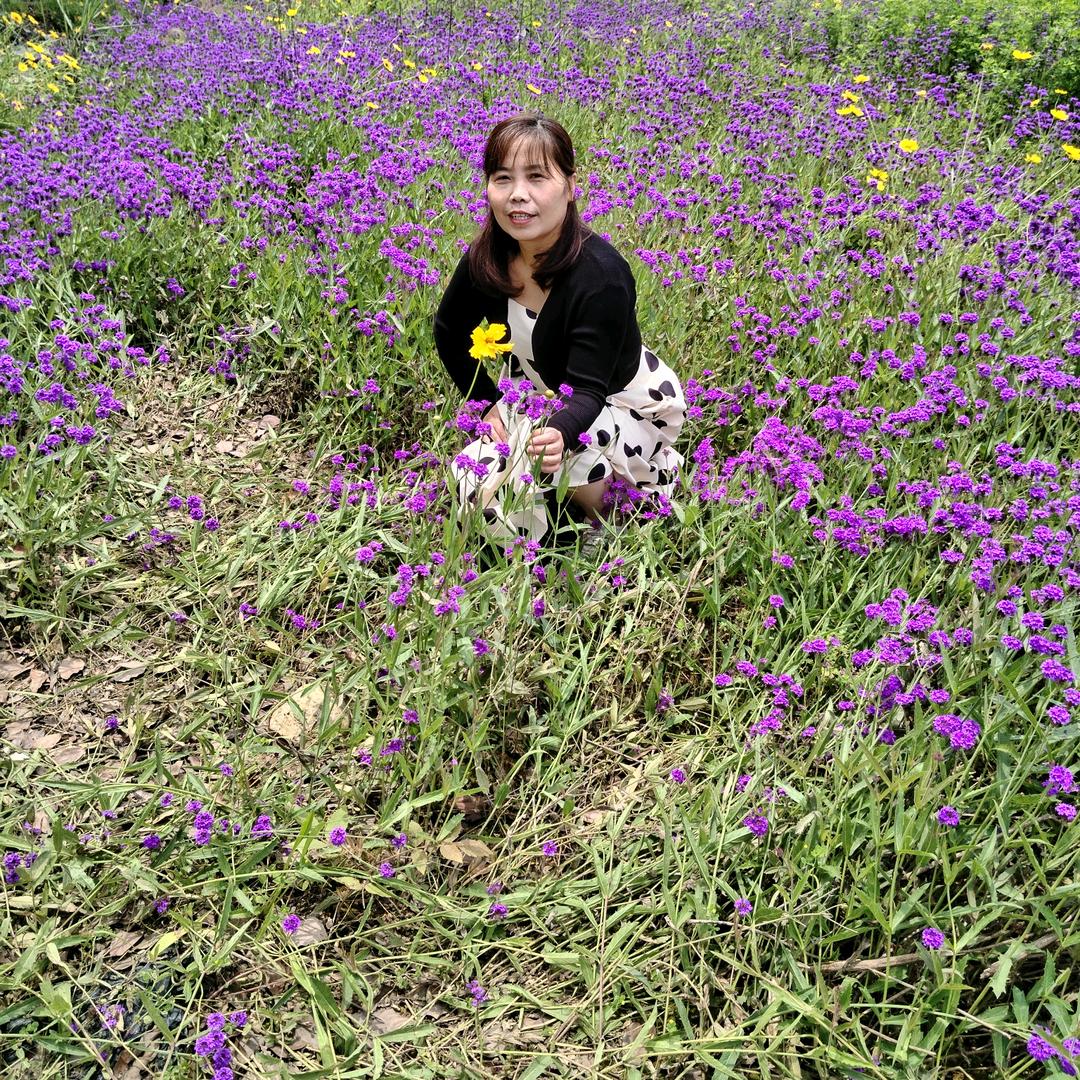 温馨华