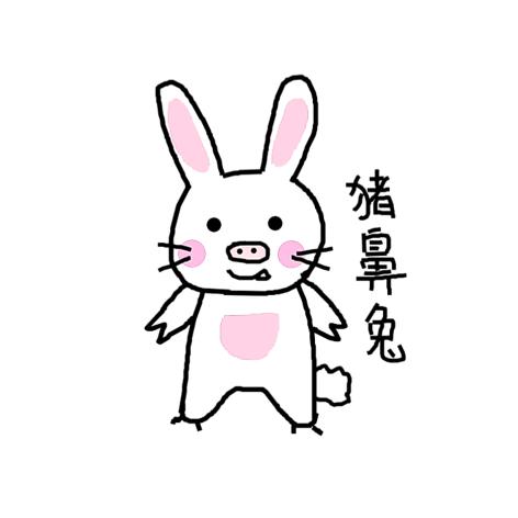 猪鼻兔