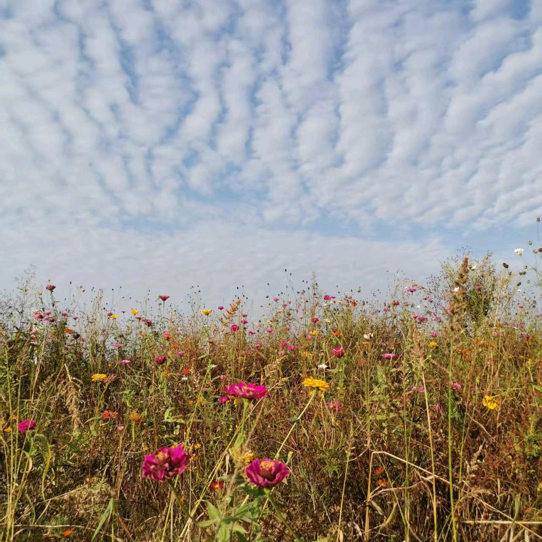 吉安庐陵新旧货市场