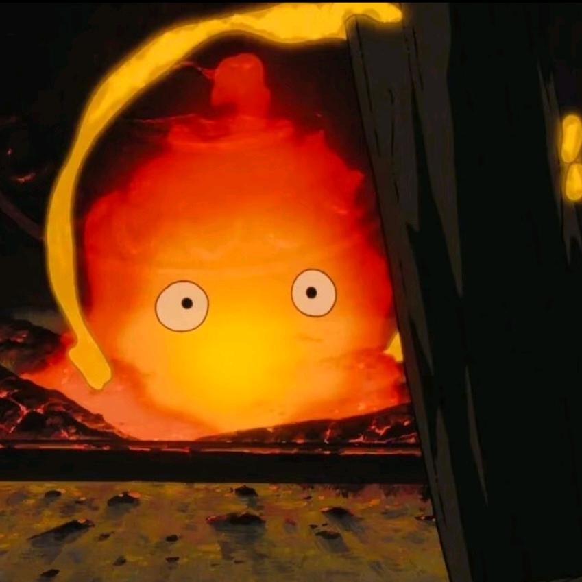 老毕爱吃橙子🍊