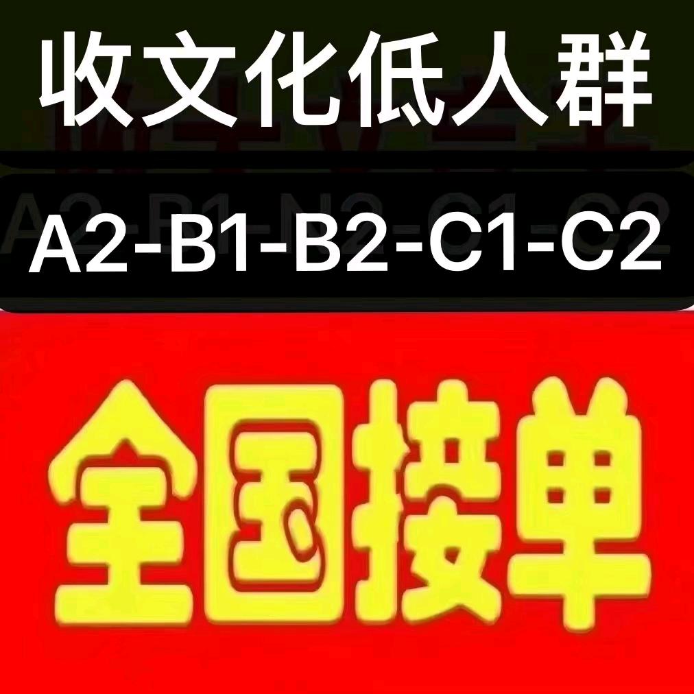 VIP驾校（驾考困难户的专场）