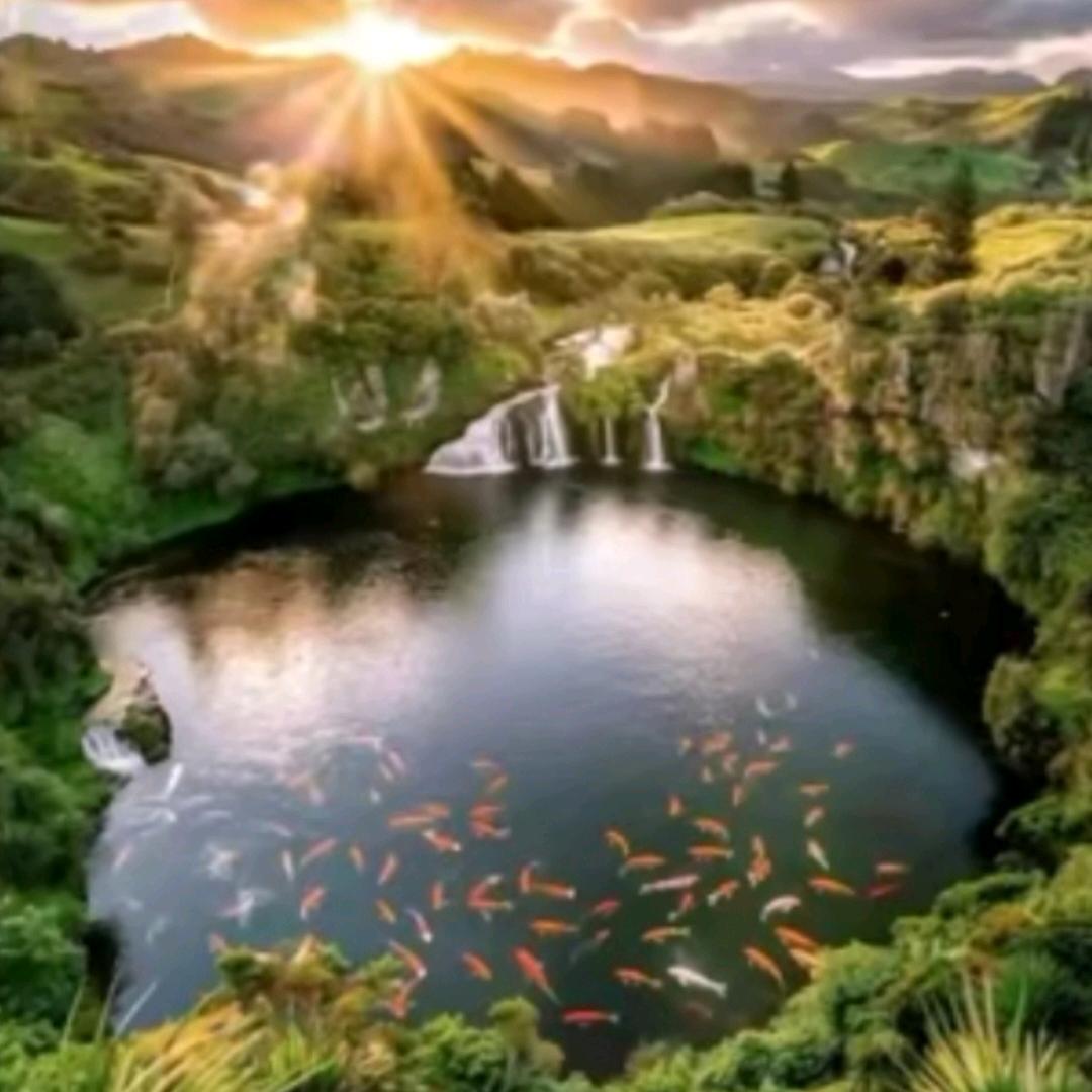 袁慧的幸福人生