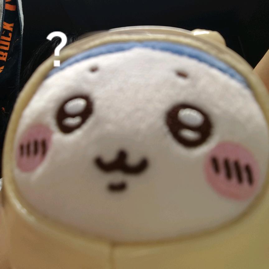 名子非鱼