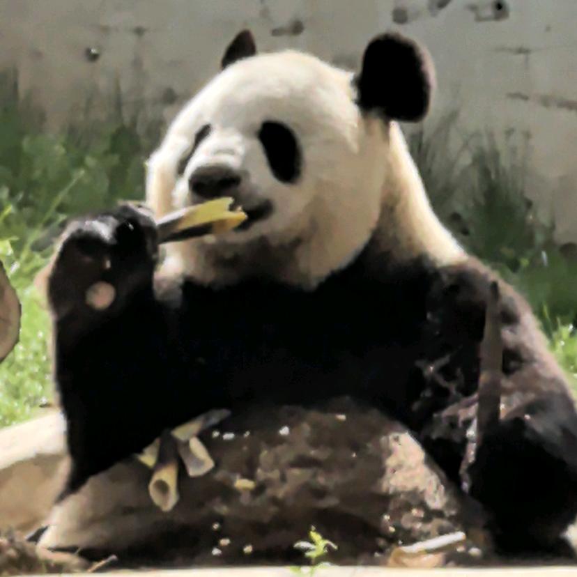 不忘初心砥砺前行