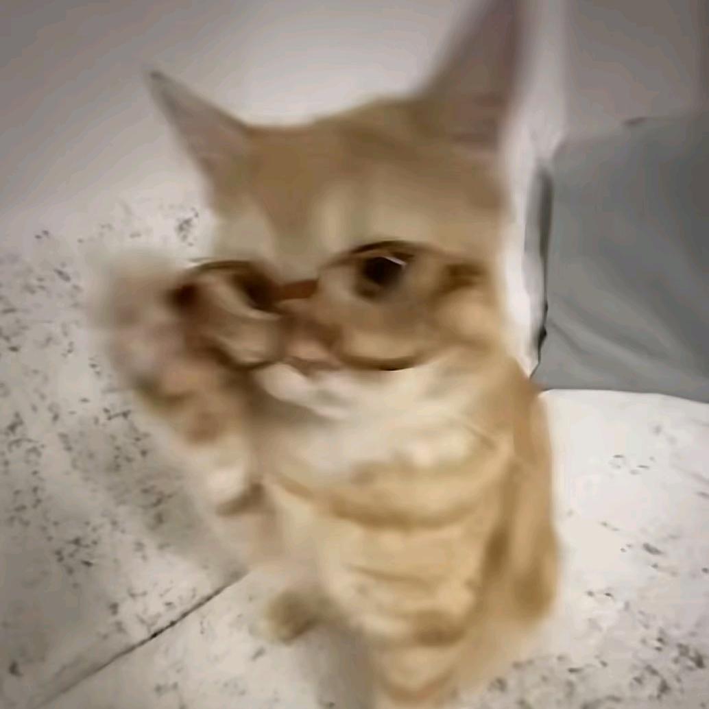 浅白
