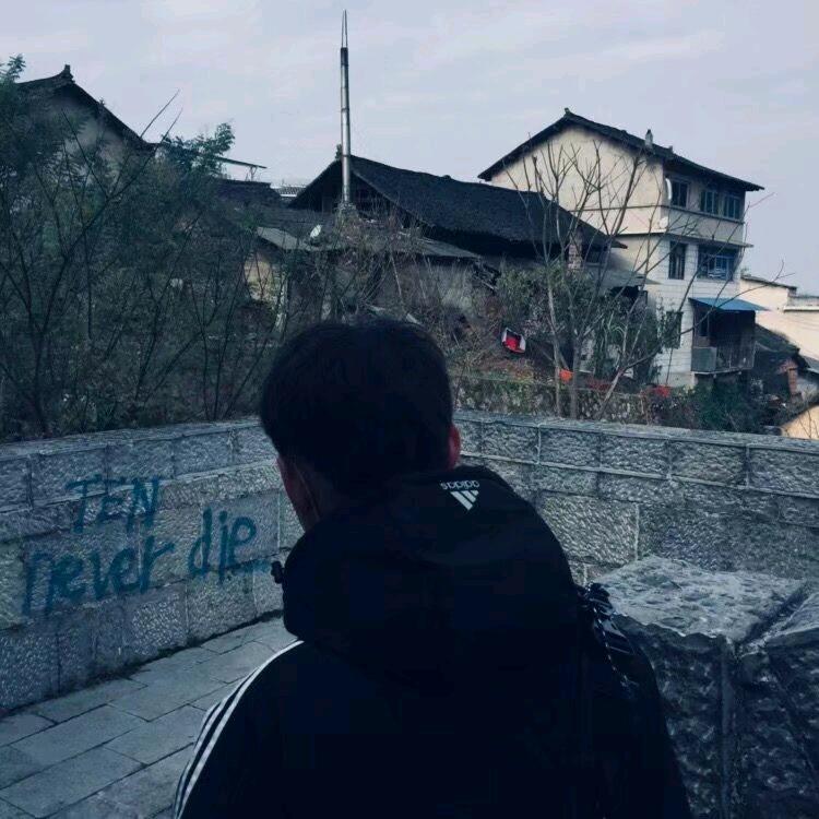 佳菲猫
