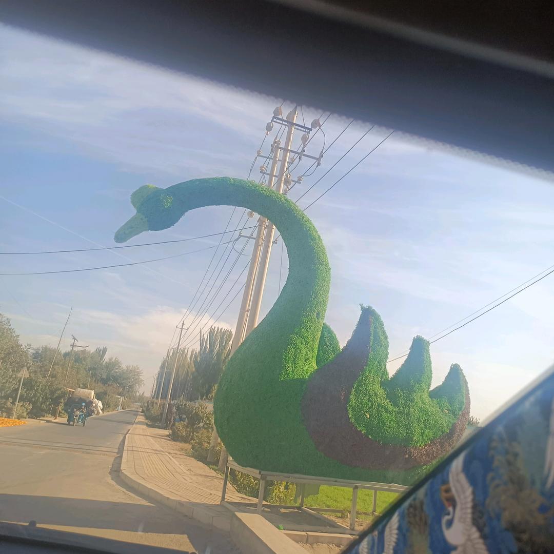 心