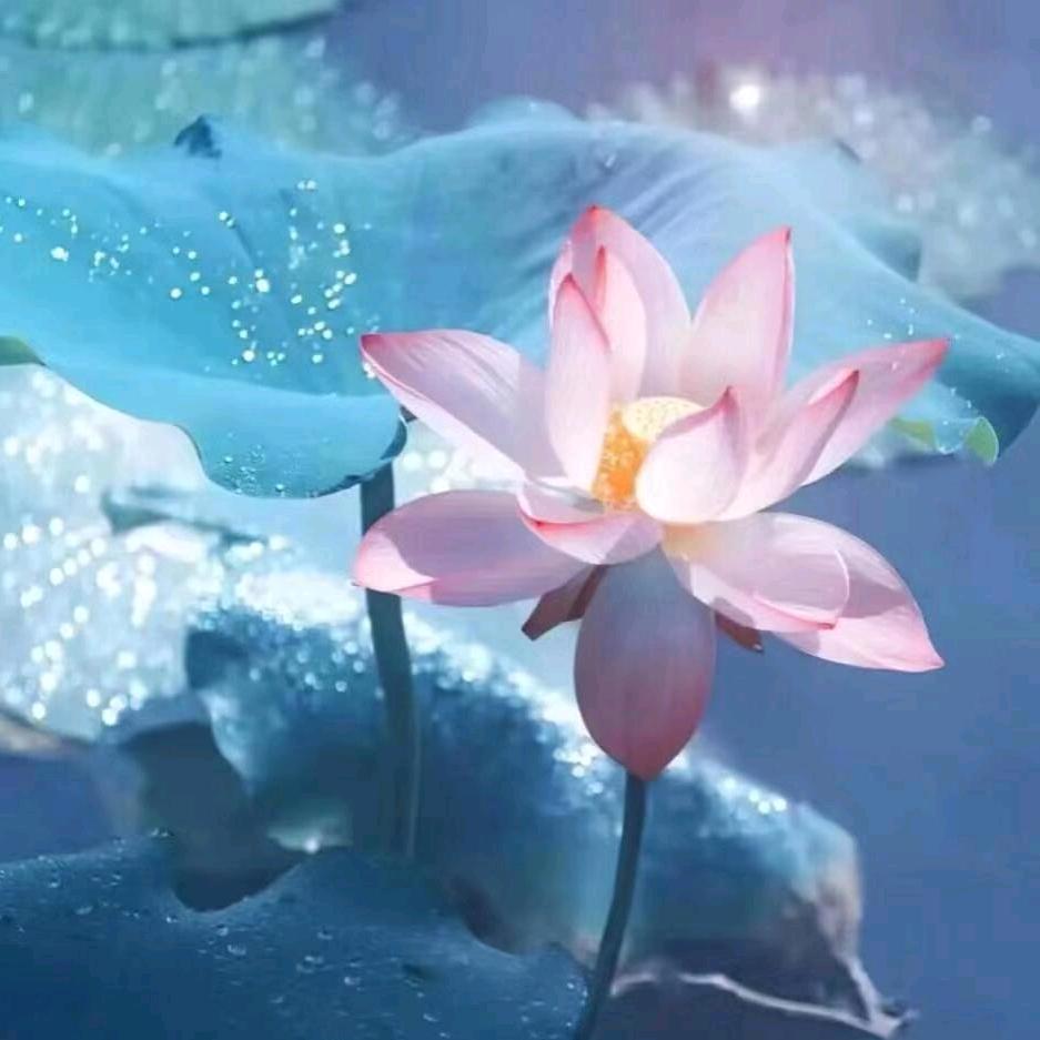 一生平安