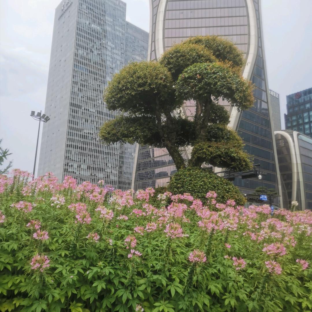 **的腿，又被限流