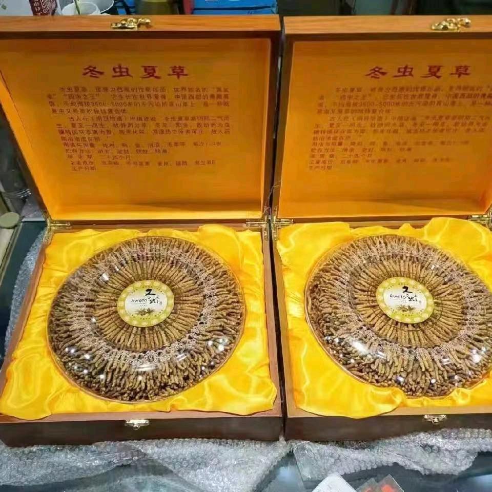 55443145585