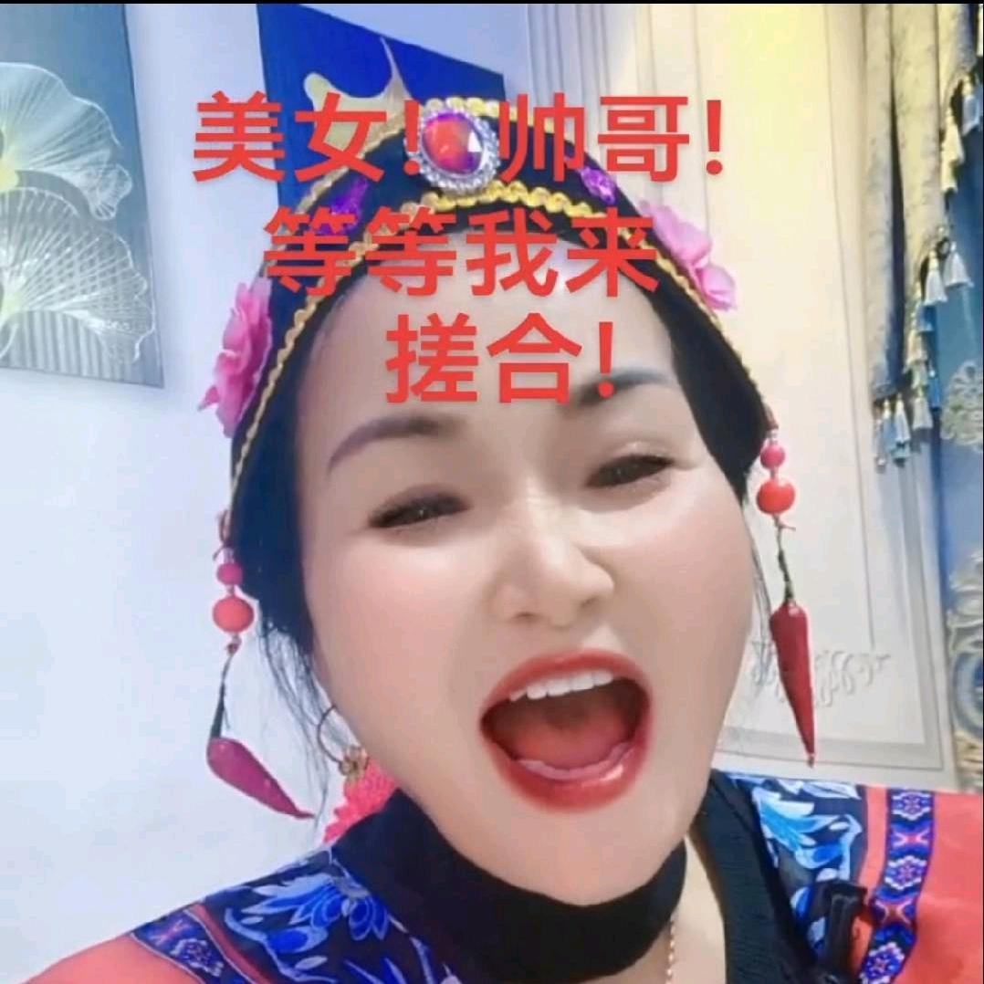 满园菊花