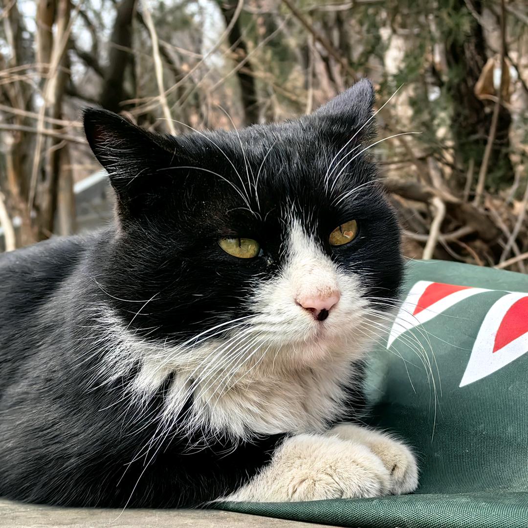 吃豆腐不吐豆腐皮