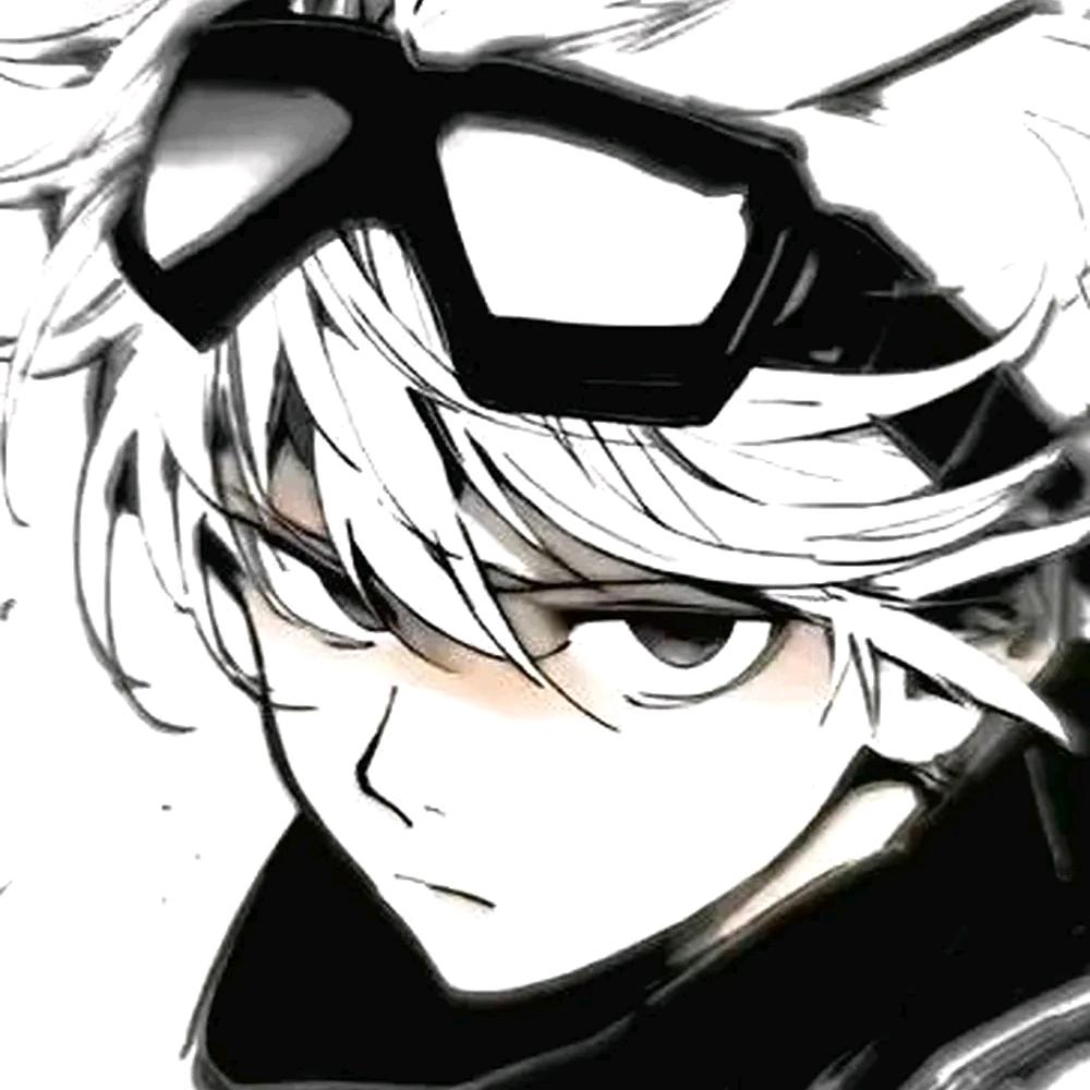 椰果