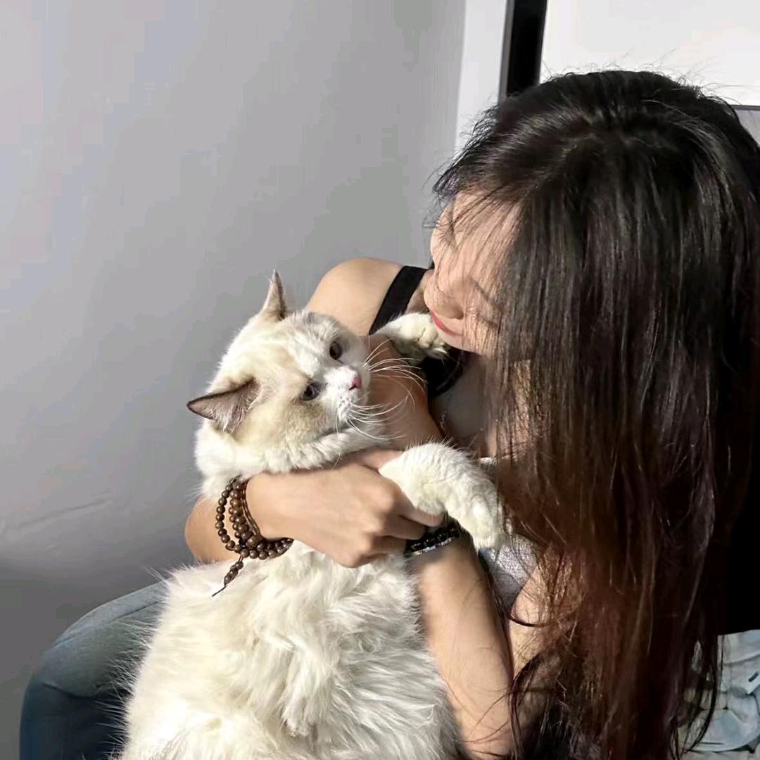 小航书仓