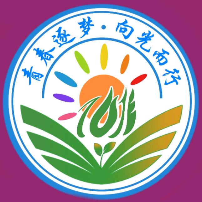 “青春逐梦•向光而行”实践团