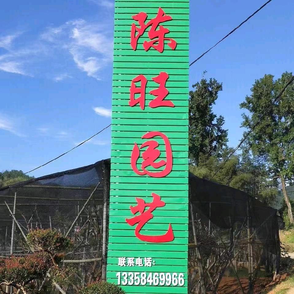 陈旺