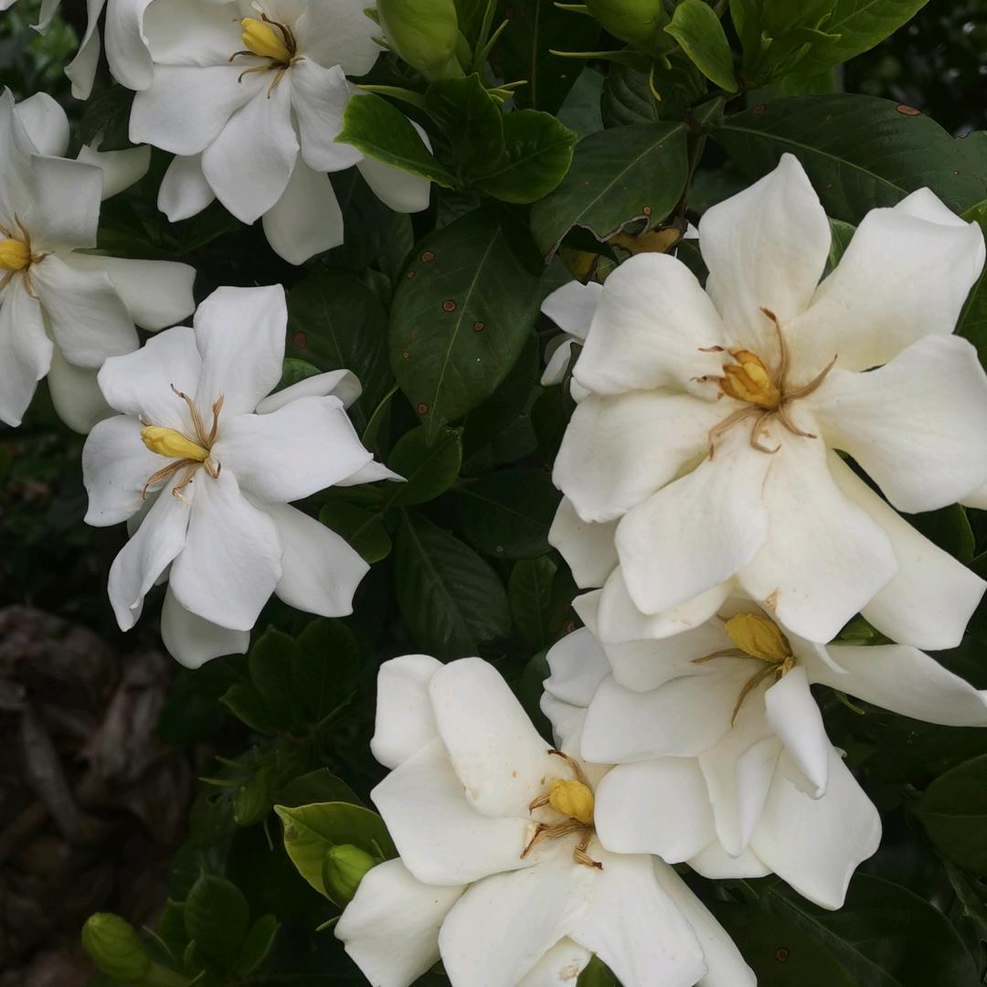 心态才是你风水