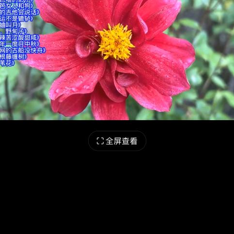 九州春满