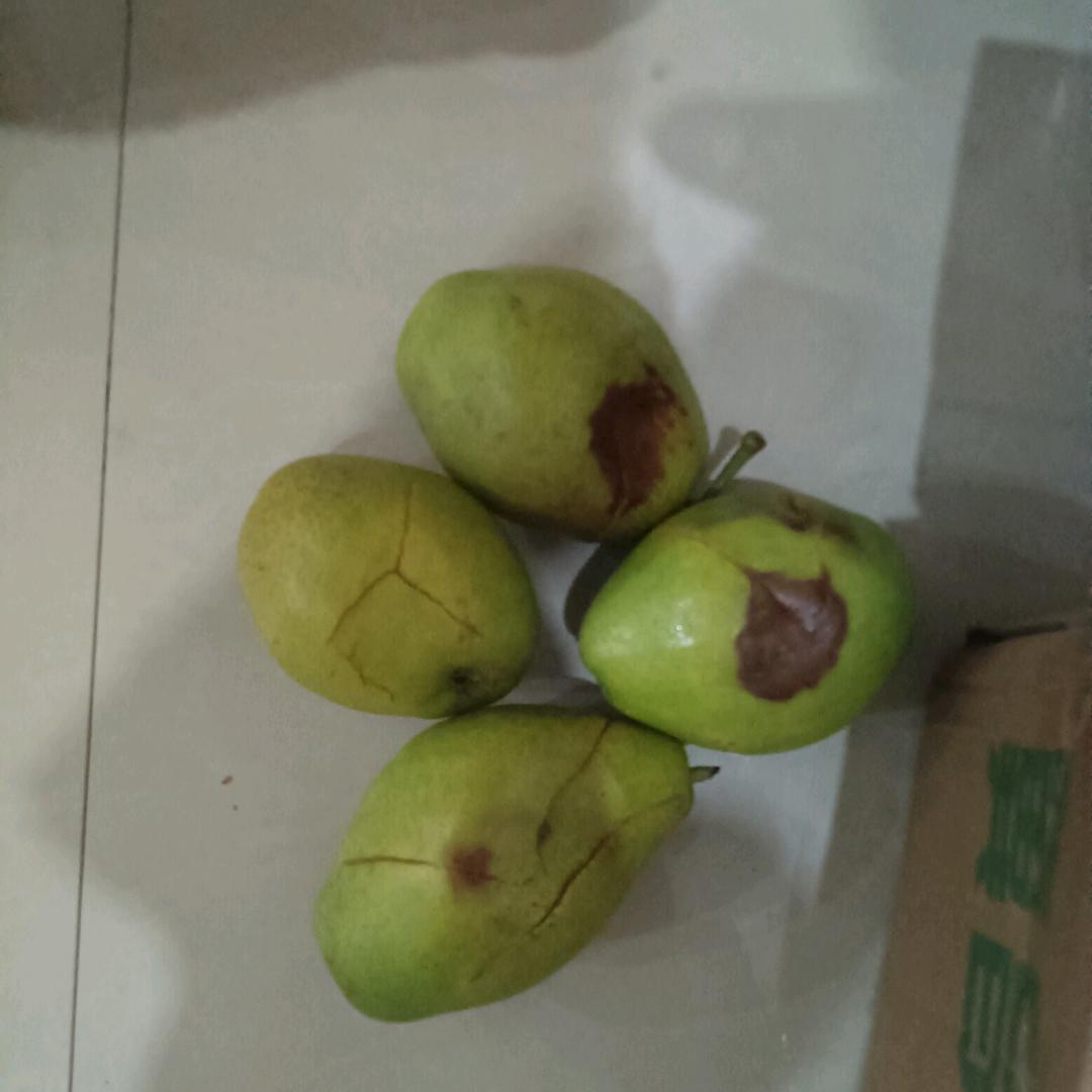美丽小家