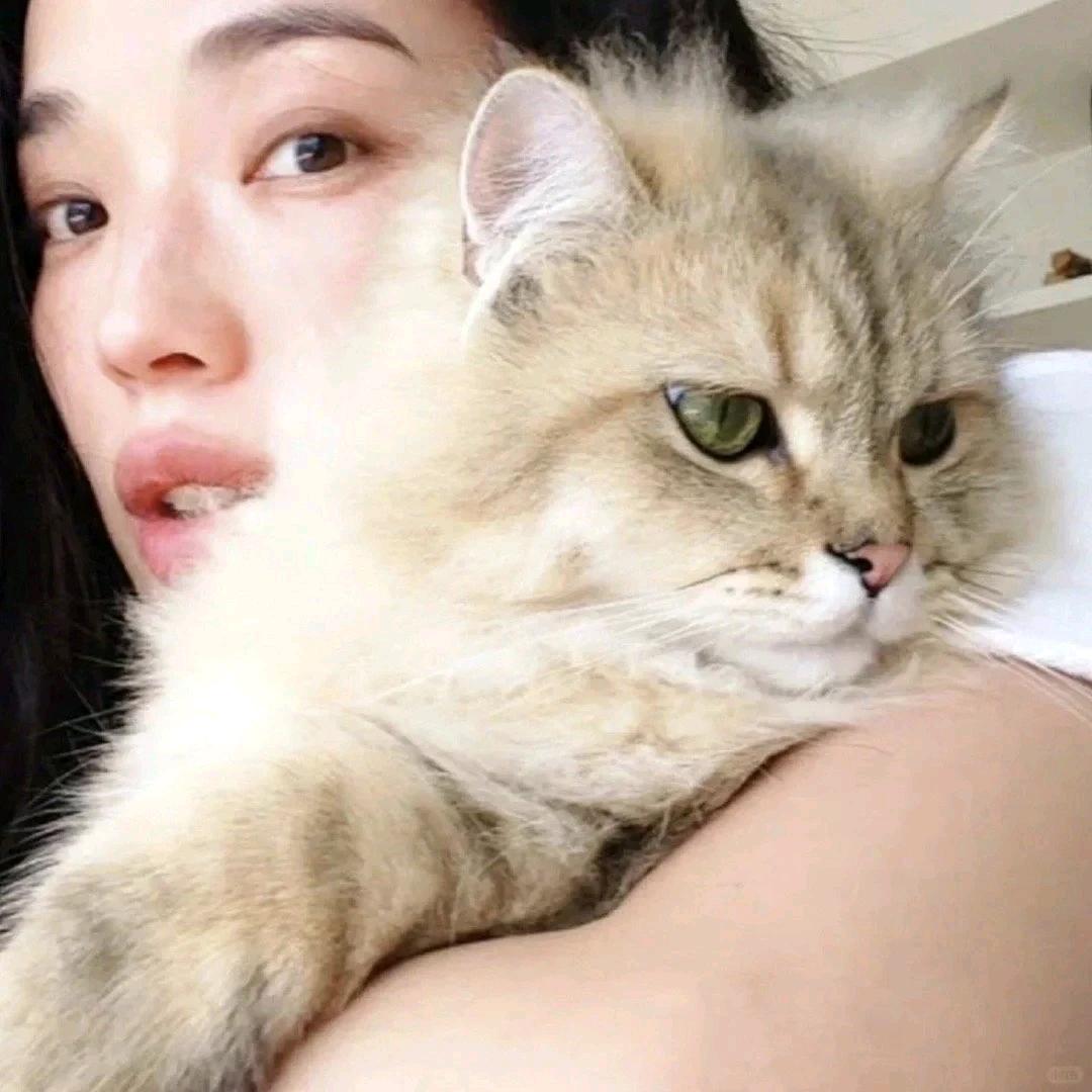 小孩Y