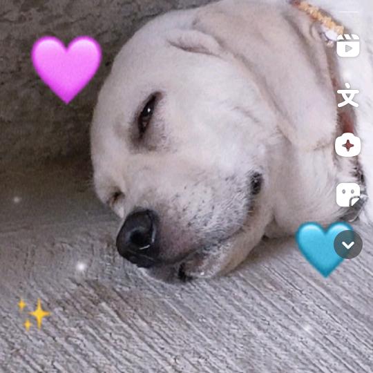 ₍˄·͈༝·͈˄*₎◞ ̑̑