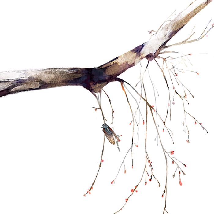 琳琅Lio-三角洲行动