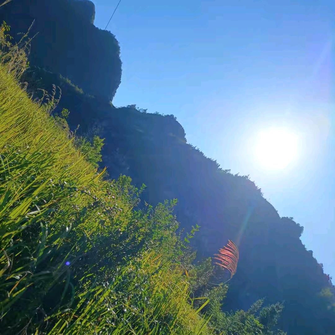 唐仁荣