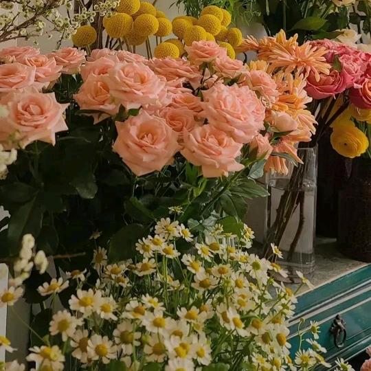 美人虞