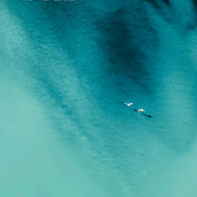天涯，浪人，