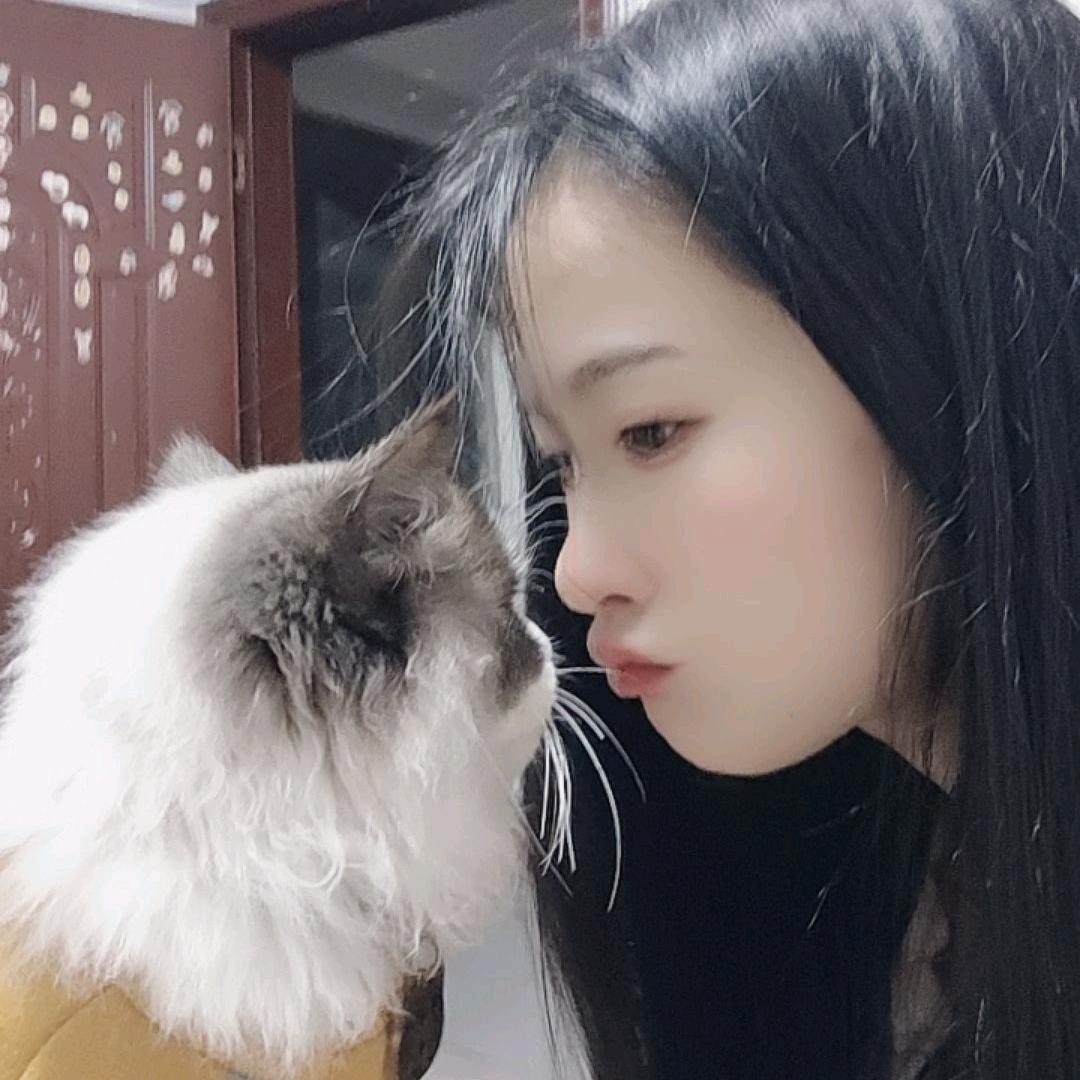 猫猫Ꮿ