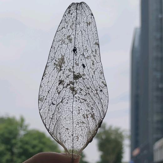 许你一世春天