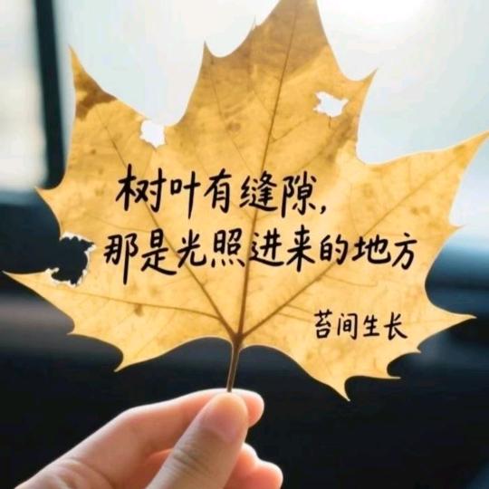 落叶知秋