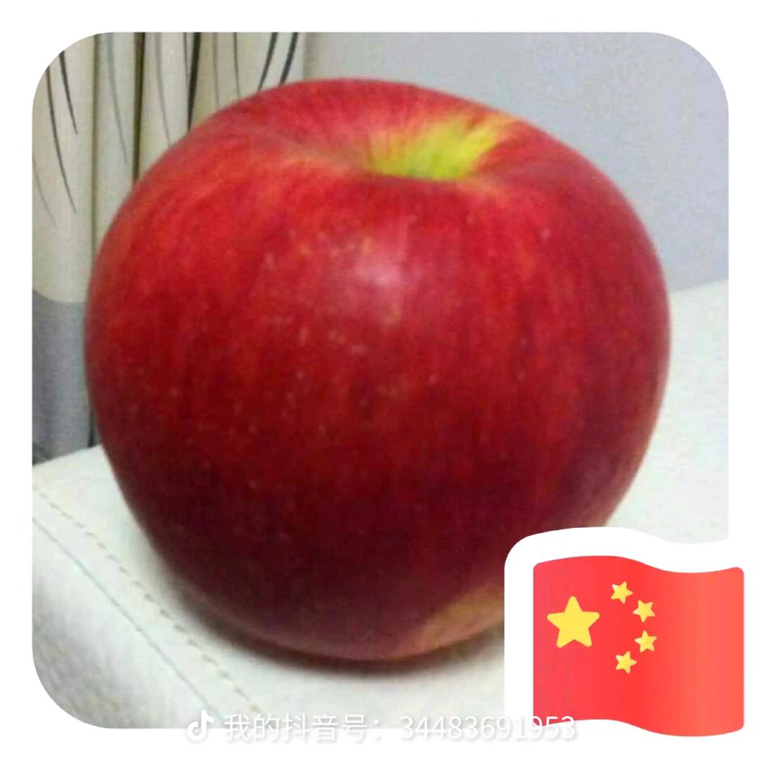 奶粉童车