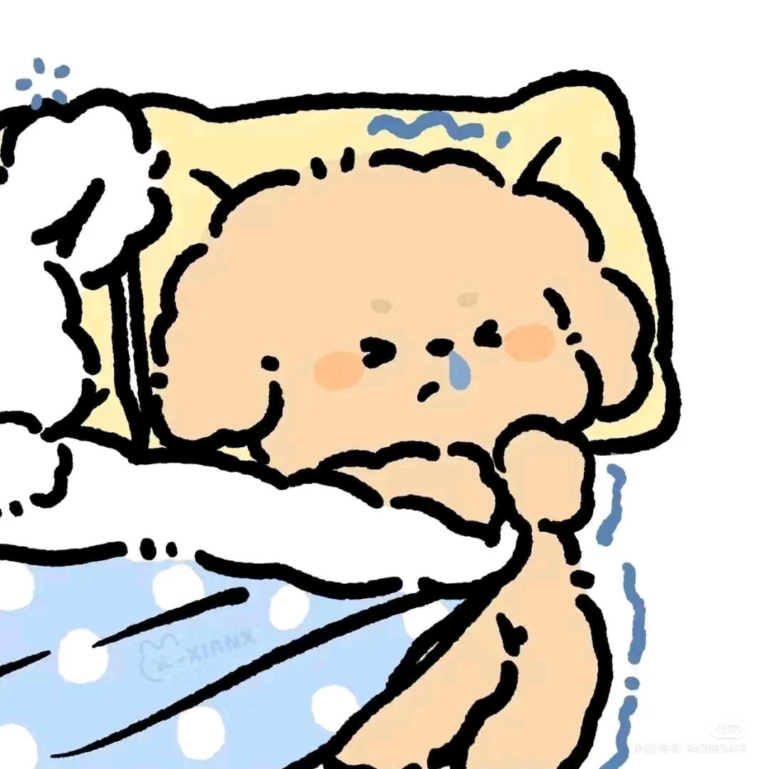 旧港里的猫