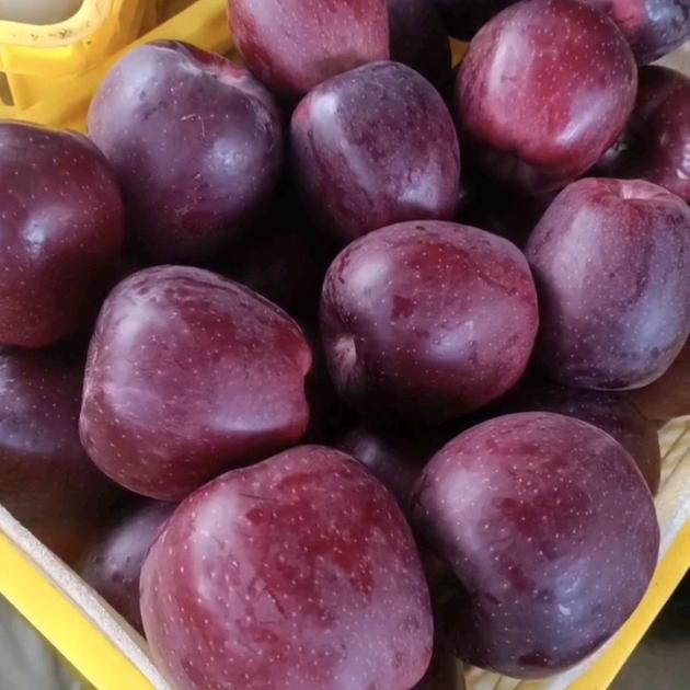 上蔡南市场百尺水果批发