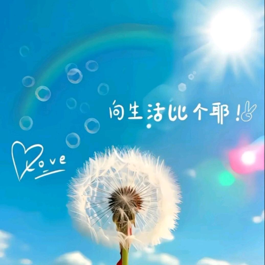 fy宸