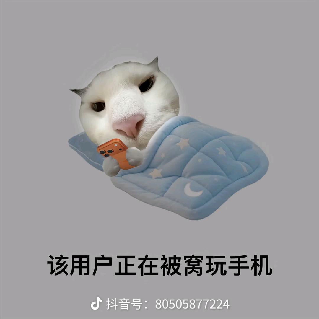 最爱吃荔浦芋头（跑刀鼠接单）